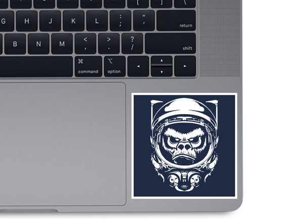 Cosmic Monkey
