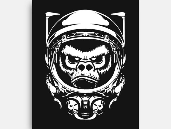 Cosmic Monkey