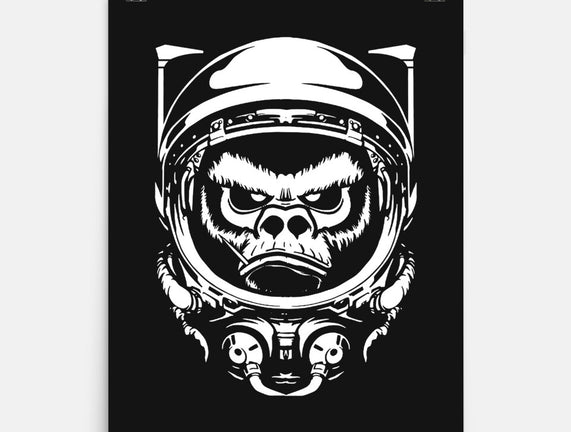 Cosmic Monkey