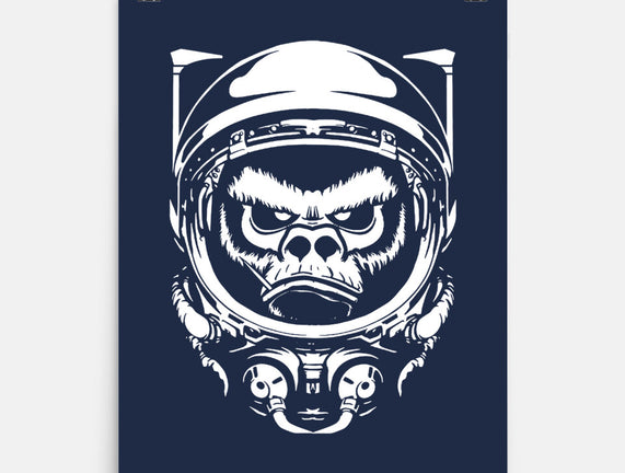 Cosmic Monkey