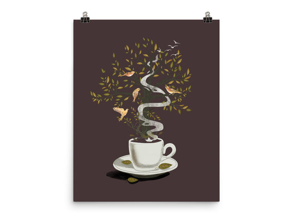 Cup of Dreams