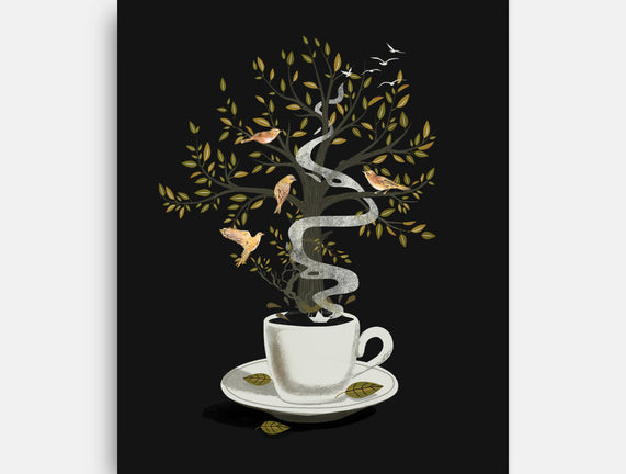 Cup of Dreams