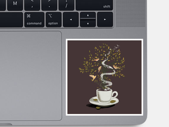 Cup of Dreams