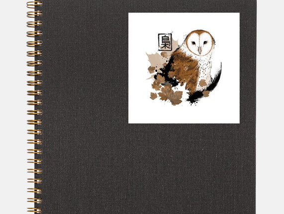 Barn Owl