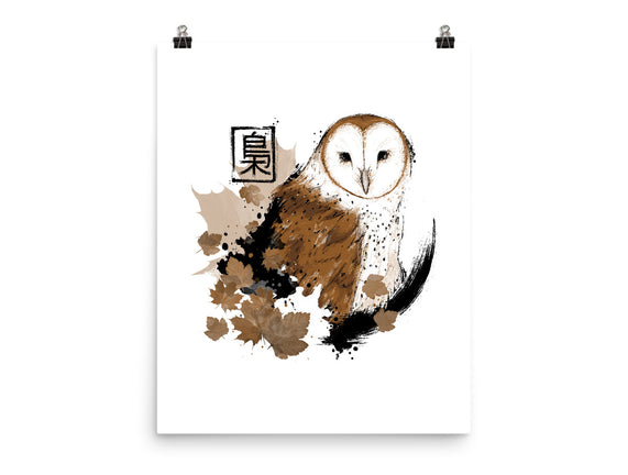 Barn Owl