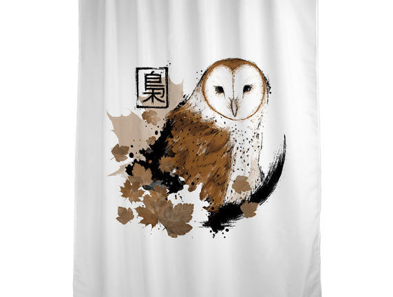 Barn Owl