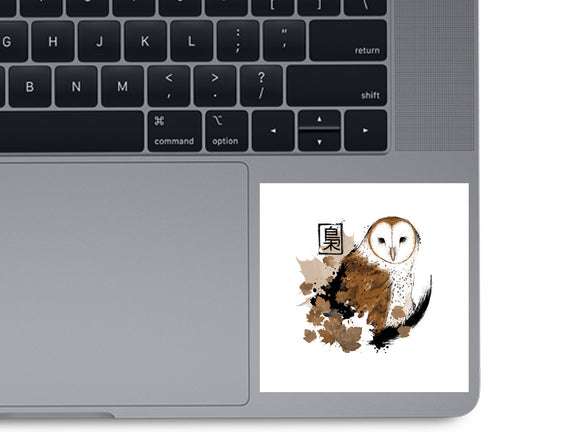 Barn Owl