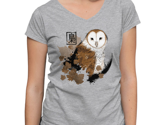 Barn Owl