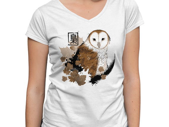 Barn Owl
