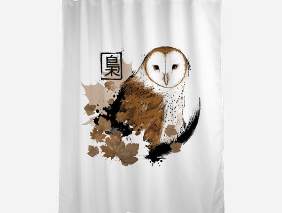 Barn Owl