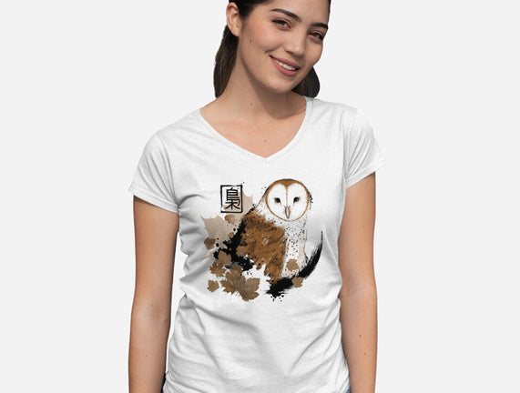 Barn Owl