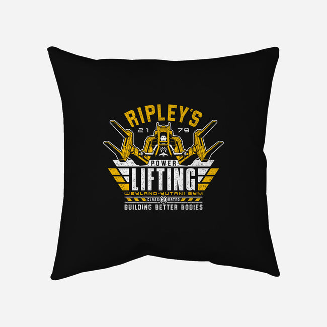 Building Better Bodies-none removable cover w insert throw pillow-adho1982