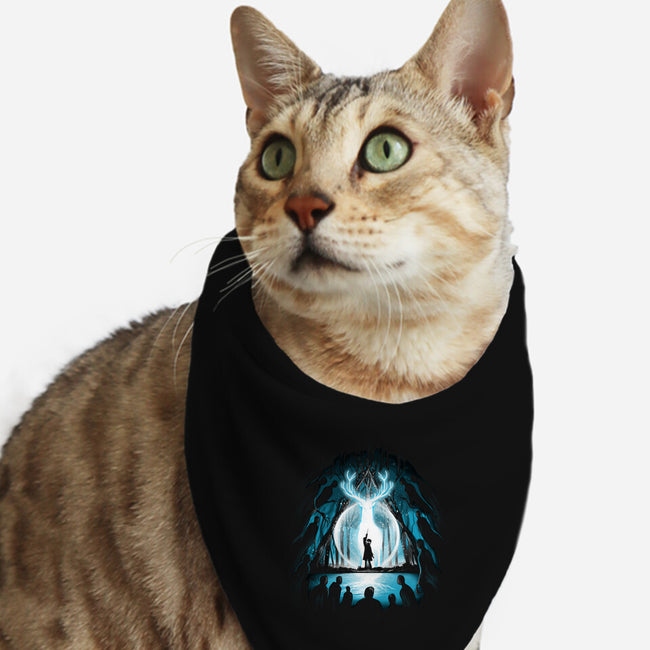 A Light In The Dark-cat bandana pet collar-alemaglia