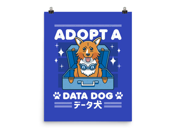 Adopt a Data Dog