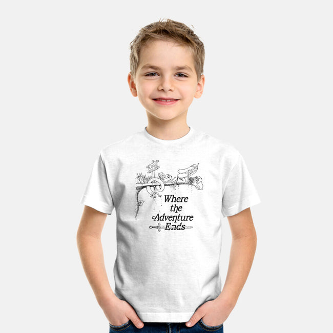 Adventure's End-youth basic tee-Ste7en Lefcourt
