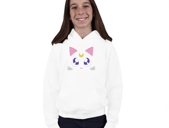 Advisor Cat