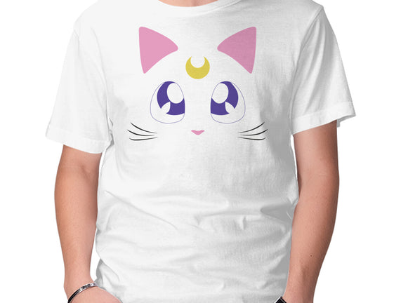 Advisor Cat