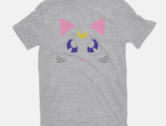 Advisor Cat