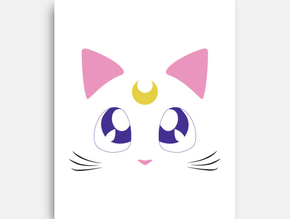 Advisor Cat