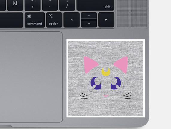 Advisor Cat