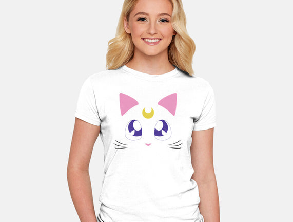 Advisor Cat