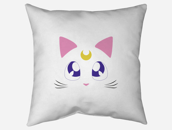 Advisor Cat