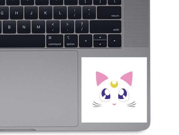 Advisor Cat