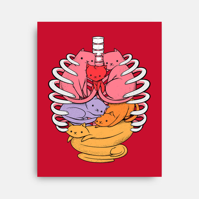 Anatomicat-none stretched canvas-tobefonseca