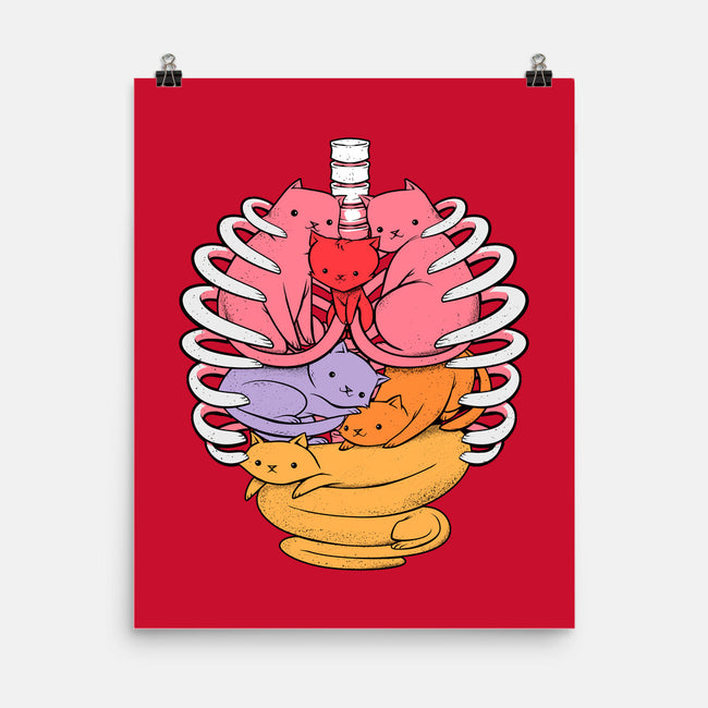 Anatomicat-none matte poster-tobefonseca