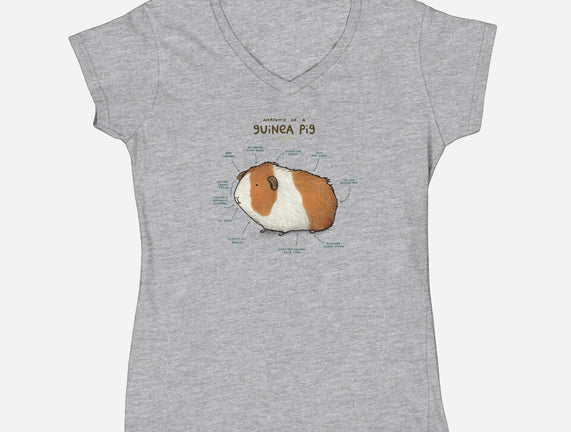 Anatomy of a Guinea Pig