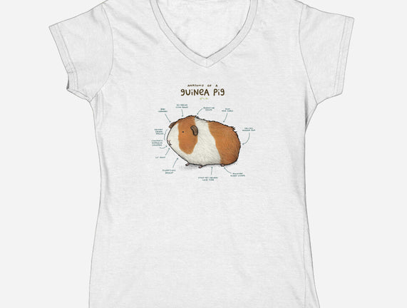 Anatomy of a Guinea Pig