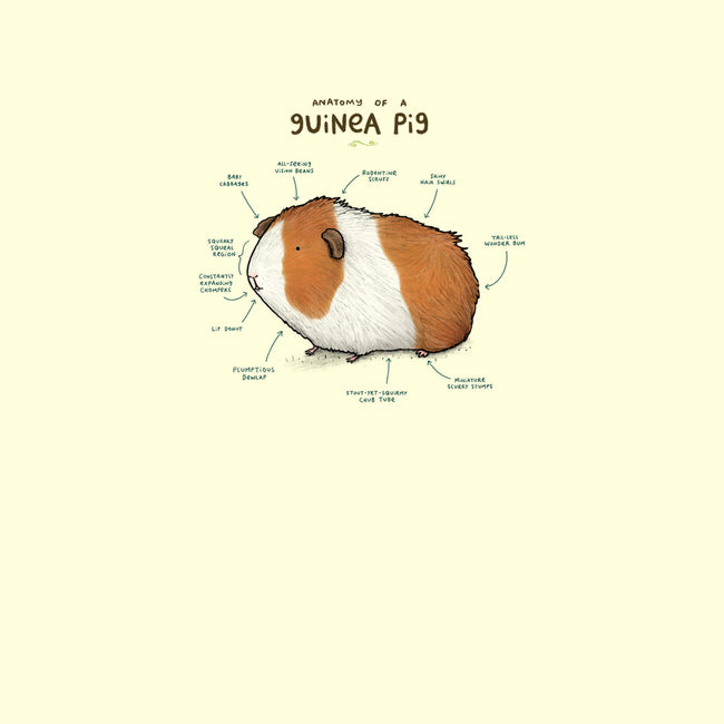 Anatomy of a Guinea Pig-none memory foam bath mat-SophieCorrigan