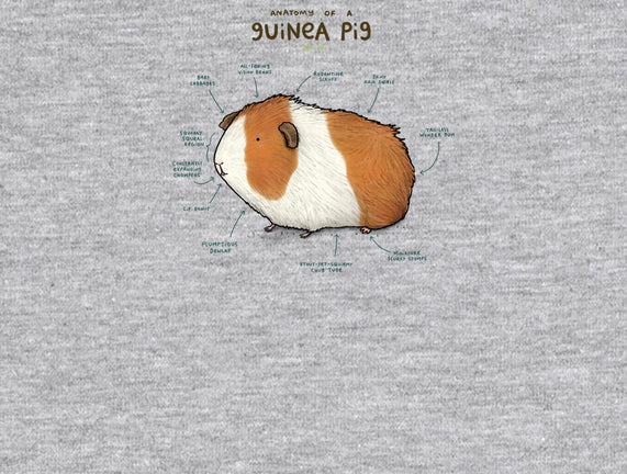 Anatomy of a Guinea Pig