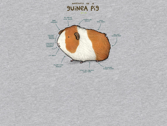 Anatomy of a Guinea Pig