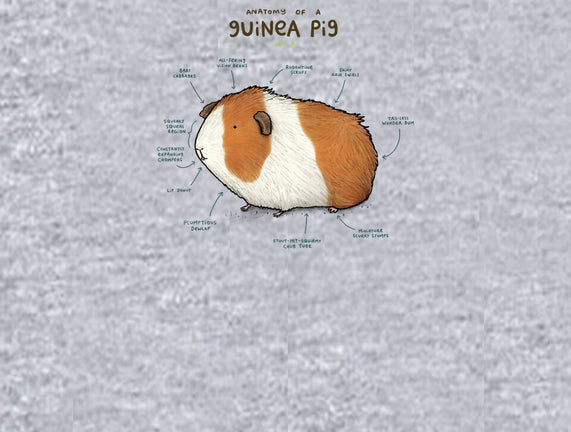 Anatomy of a Guinea Pig