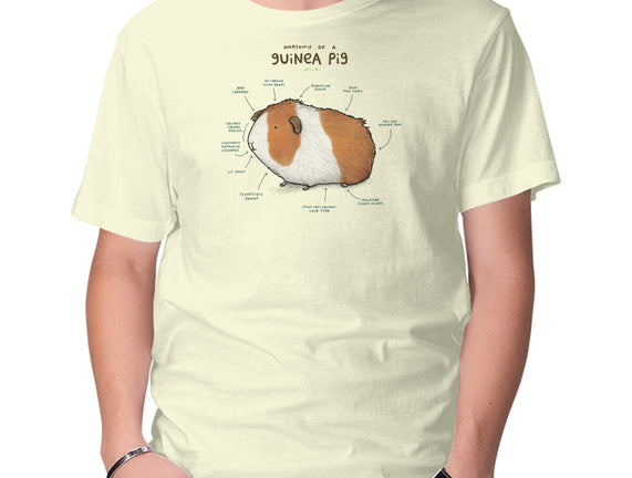 Anatomy of a Guinea Pig