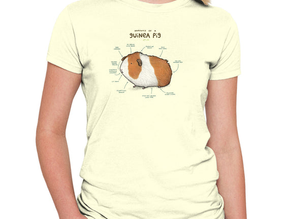 Anatomy of a Guinea Pig