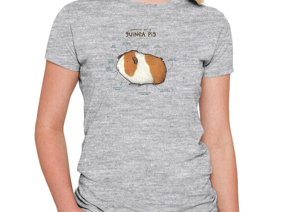Anatomy of a Guinea Pig