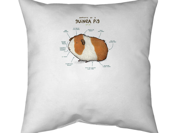 Anatomy of a Guinea Pig