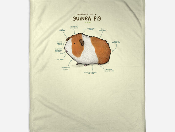 Anatomy of a Guinea Pig