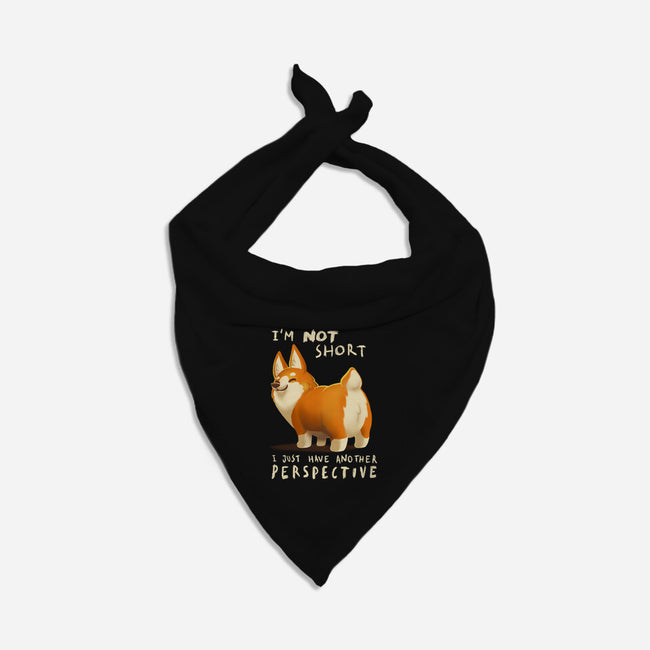 Another Perspective-cat bandana pet collar-BlancaVidal