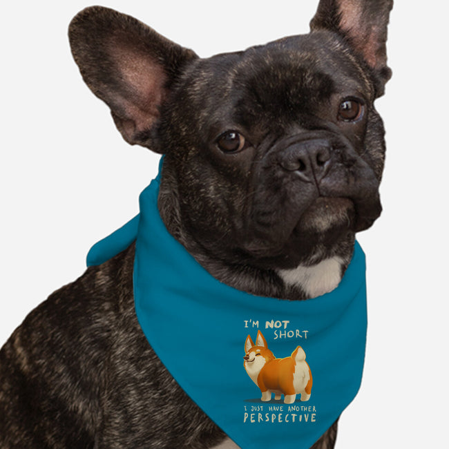 Another Perspective-dog bandana pet collar-BlancaVidal
