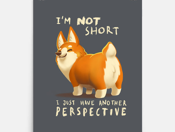 Another Perspective