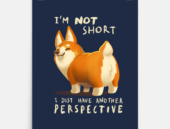 Another Perspective