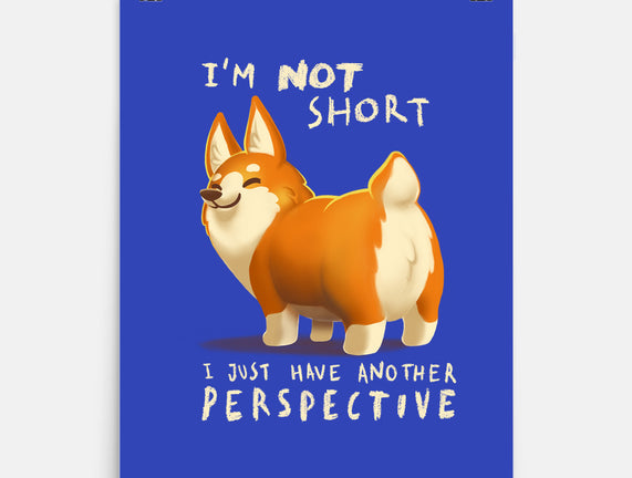 Another Perspective