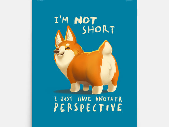 Another Perspective