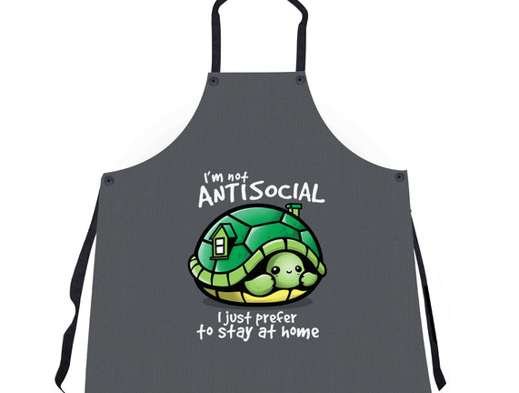 Antisocial Turtle