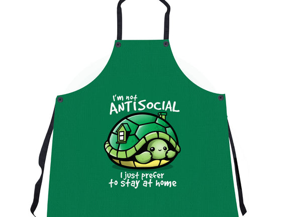 Antisocial Turtle
