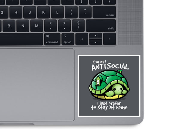 Antisocial Turtle