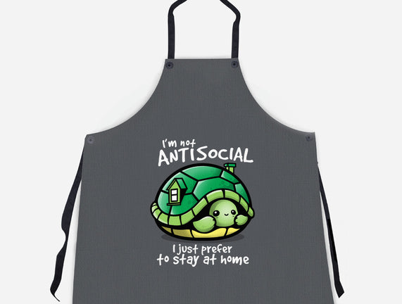 Antisocial Turtle